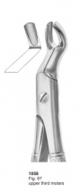  Fig. 67 upper third molars 